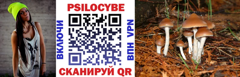 Галлюциногенные грибы GOLDEN TEACHER  Купить закладки  Навашино 